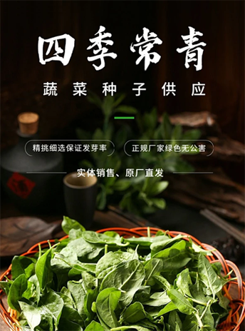 《出版书籍名称》